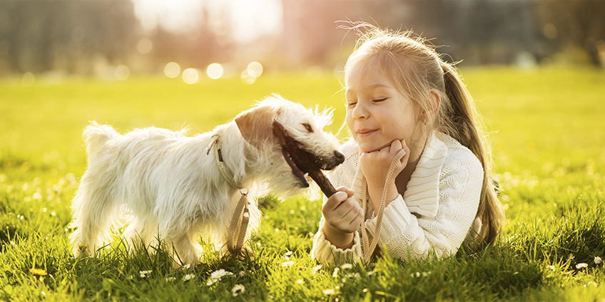 Tiergesundheit & Pflege